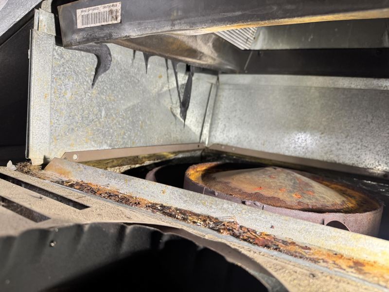 AC drain pan cleared of a blockage during a Bellevue tune-up